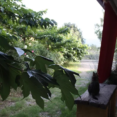 Сasa de vacaciones Domus Sol Aria Castiadas