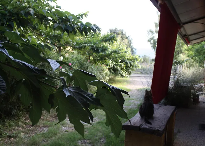 Дом отдыха Domus Sol Aria Кастиадас