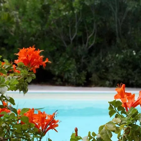 Catiadas Casa Con Piscina E Terreno 1 * Castiadas