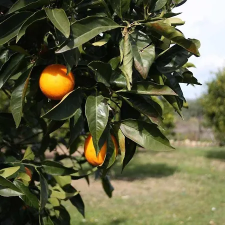 Σπίτι διακοπών Domus Sol Aria *