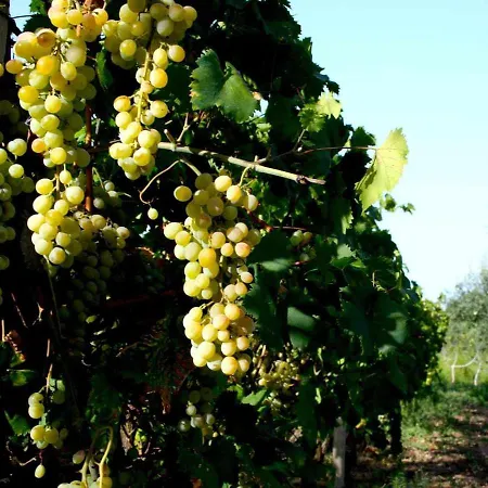 Domus Sol Aria * Castiadas