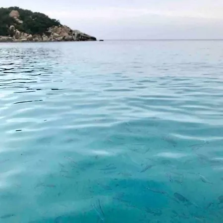 Catiadas Casa Con Piscina E Terreno 1 *